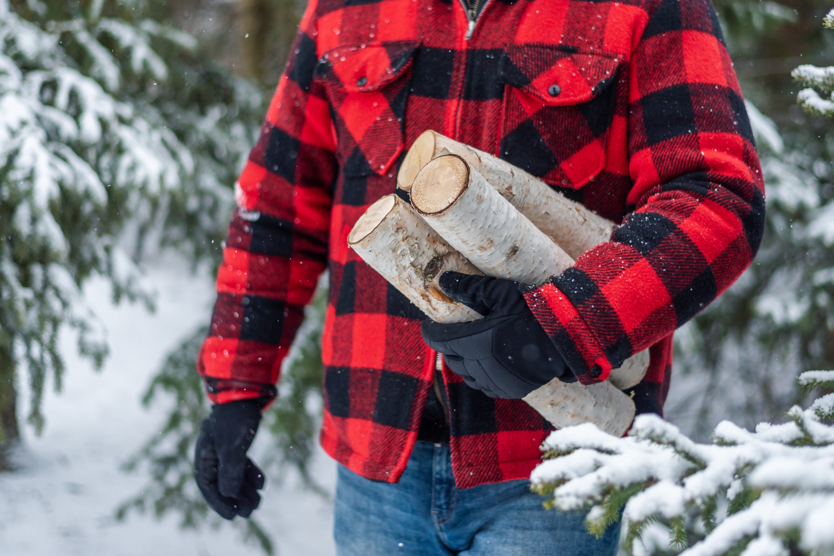 Person in in the woods holding cut logs