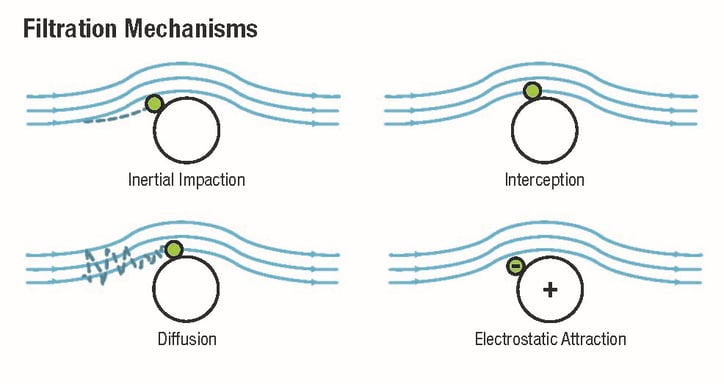 filtration mechanisms